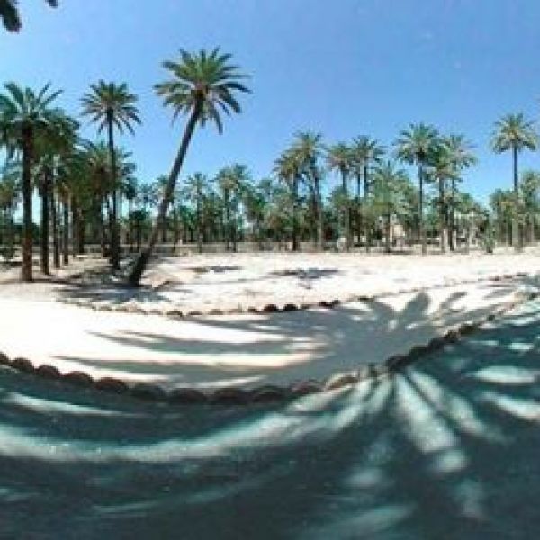 Playa El Rebollo